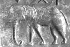 C:\Users\ALCL\Desktop\Fish seal final3\Fig3----B.jpg