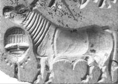 C:\Users\ALCL\Desktop\Fish seal final3\Fig 3--A.jpg