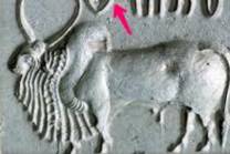 C:\Users\ALCL\Desktop\Fish seal final3\fig 6--B.jpg