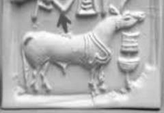 C:\Users\ALCL\Desktop\Fish seal final3\Fig 6--A.jpg