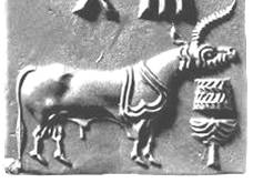 C:\Users\ALCL\Desktop\Fish seal final3\Fig 2.jpg