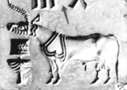 C:\Users\ALCL\Desktop\Fish seal final3\Fig 1.jpg