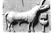 C:\Users\ALCL\Desktop\Fish seal final3\Fig 5--A.jpg